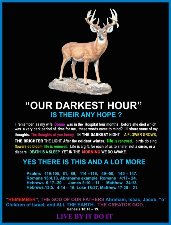 Our Darkest HOUR