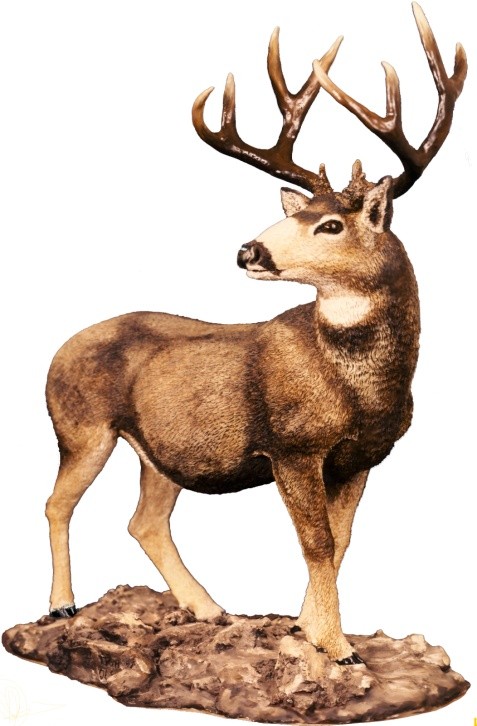 Mule Deer Buck Sculpture 1973