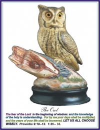 The Owl Ceramic Sculpture