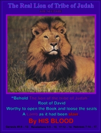 The Real Lion of Tribe of Judah