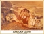 The African Lions oil 1975
